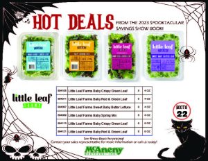 Little Leaf Hot Deals 7 31 23